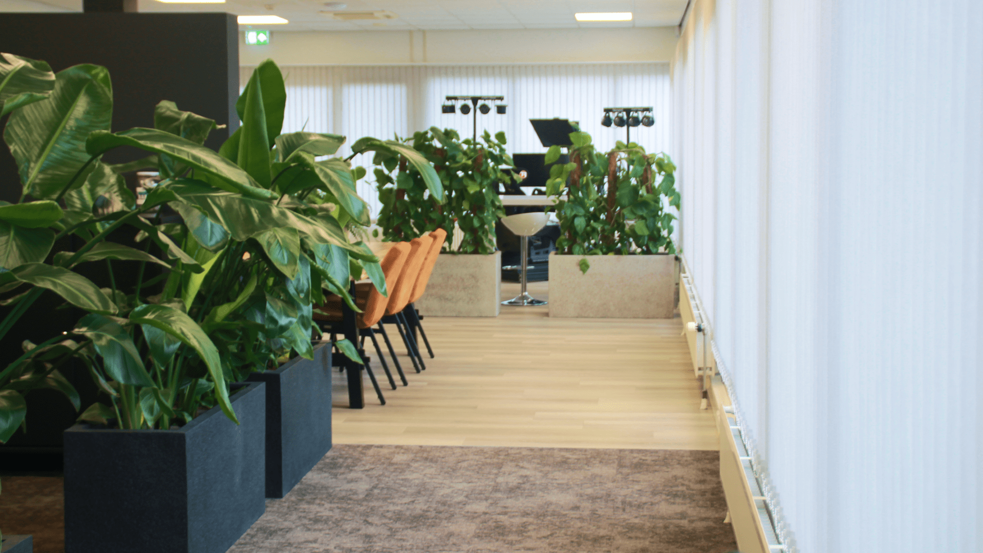 Online_Marketeer_Vacature